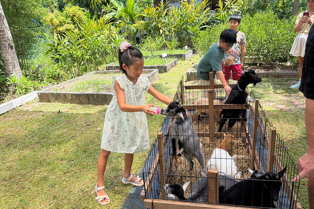 Children feeding the animals at a weekend market in Pru Champa